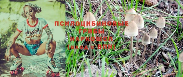 а пвп мука Михайлов