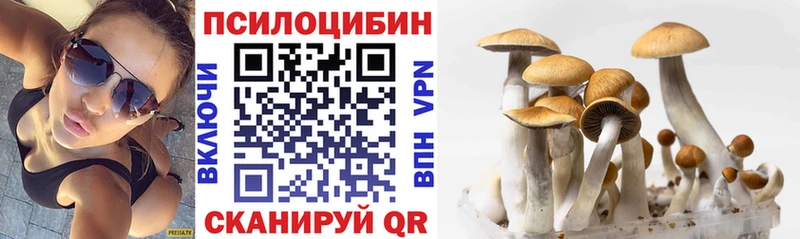 блэк спрут ССЫЛКА  Саратов  Галлюциногенные грибы ЛСД 